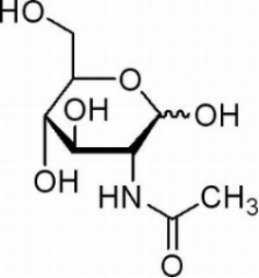 N-乙酰氨基葡萄糖：解锁关节、肠道、皮肤健康的食品级钥匙