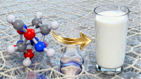 靶向关节营养：N-乙酰氨基葡萄糖+牛奶的协同奥秘
