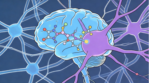 双重赋能，专注突破：揭秘磷脂酰丝氨酸+红景天复配的协同抗疲劳革命
