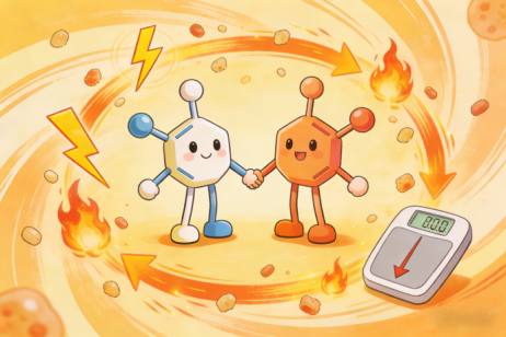 代谢双星：乙酰左旋肉碱与肌醇如何协同优化体重管理