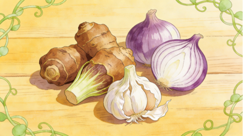 FOS、GOS 与菊粉：三大益生元如何守护肠道健康