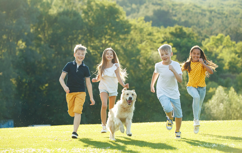 Animal Rescue Emission Reduction Sustainable Development